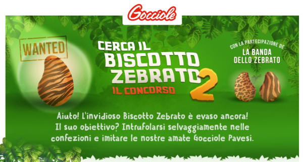 gocciole
