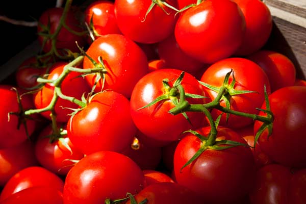 pomodori