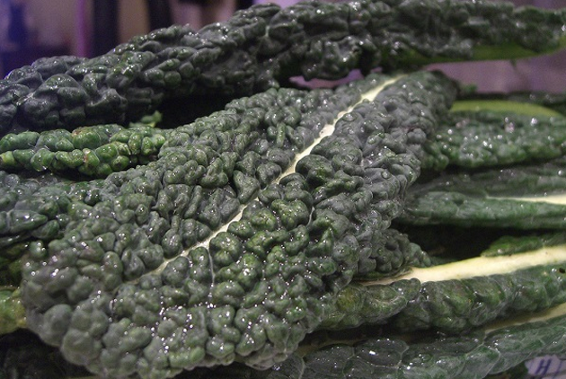 cavolo nero